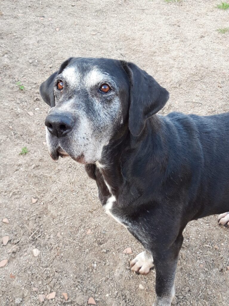 multimedia-foto71358-63-1