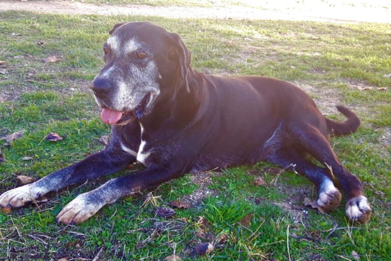 multimedia-foto71360-64-1