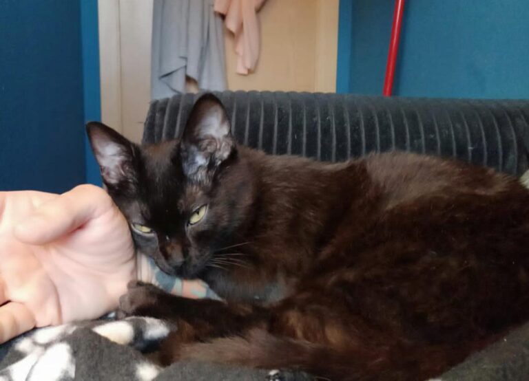 multimedia-foto71376-141-1