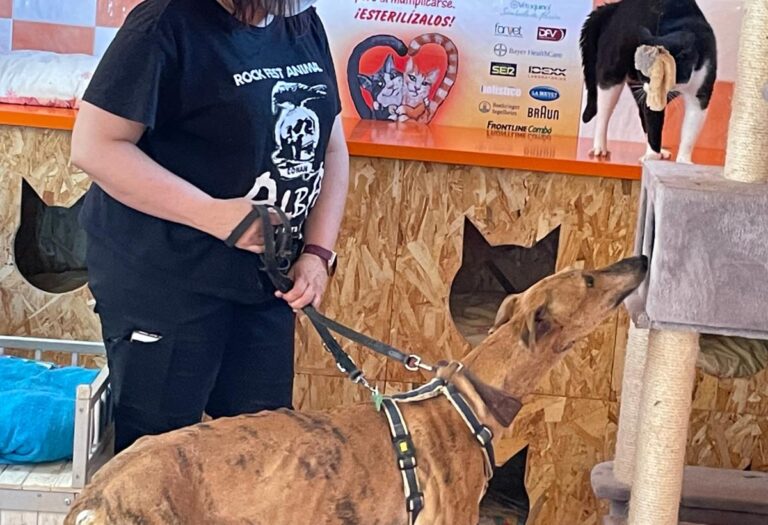 multimedia-foto71389-211-1