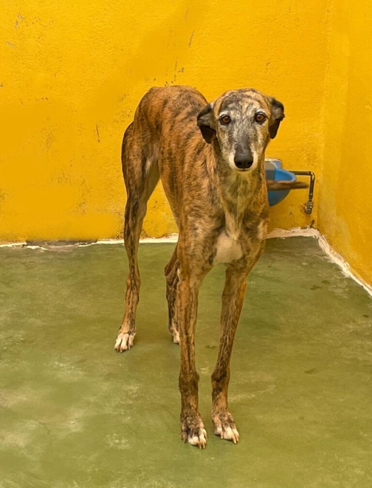 multimedia-foto71409-216-1