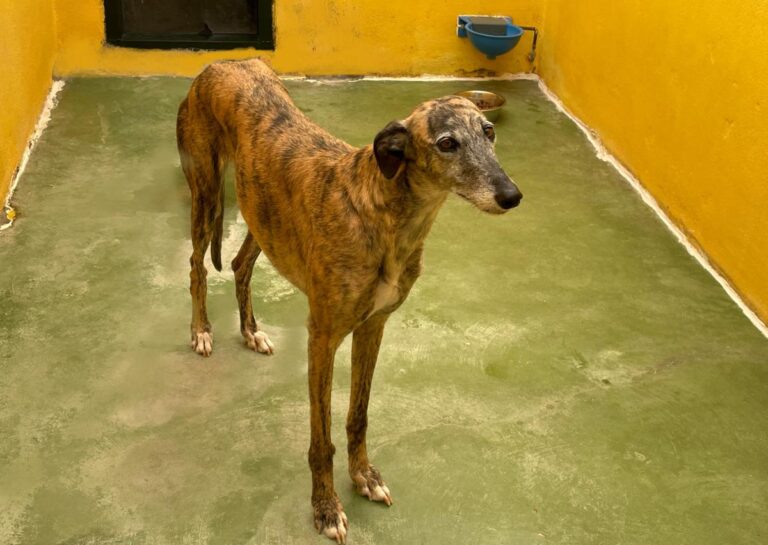 multimedia-foto71411-217-1