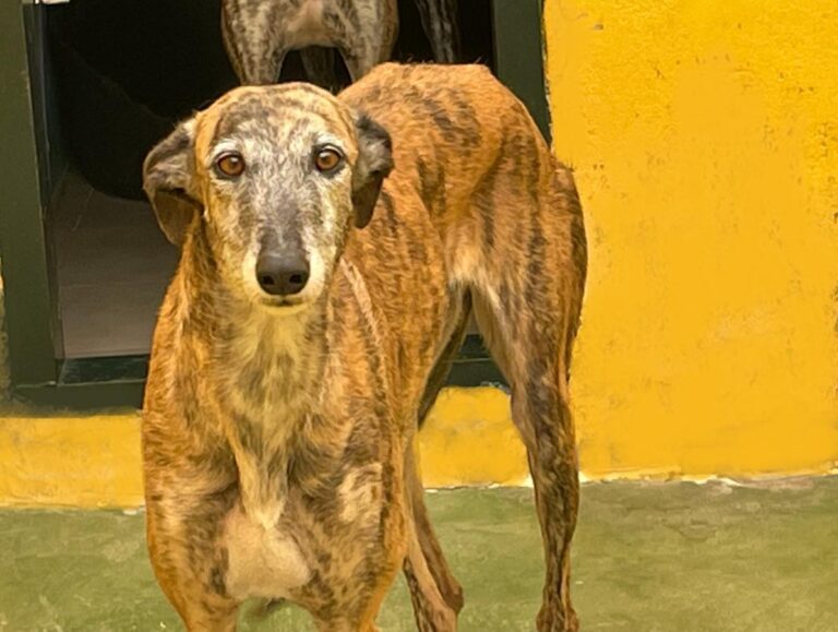 multimedia-foto71412-217-1