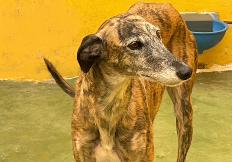 multimedia-foto71415-217-1