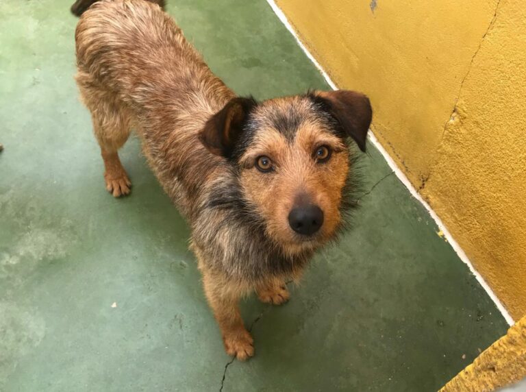 multimedia-foto71436-765-1