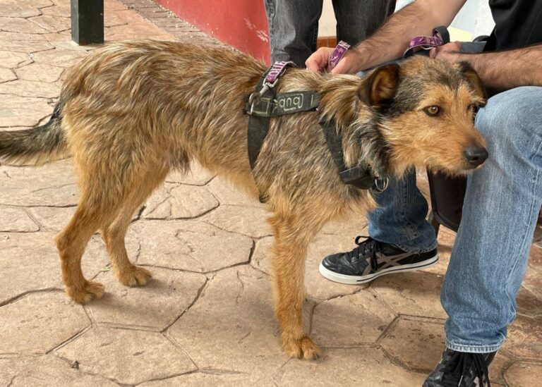 multimedia-foto71437-765-1