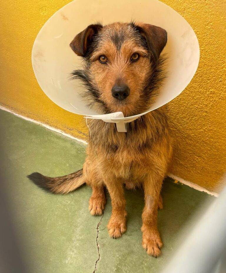 multimedia-foto71438-765-1