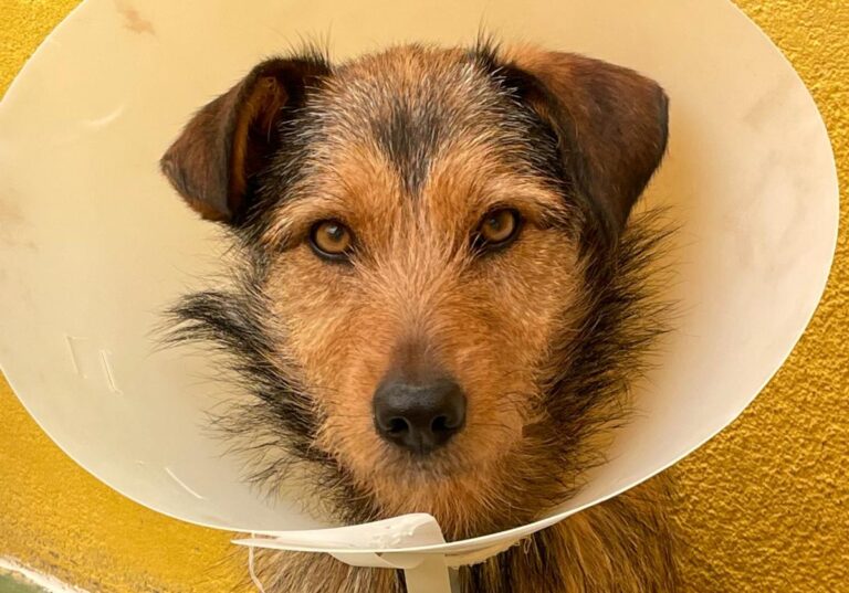 multimedia-foto71439-765-1