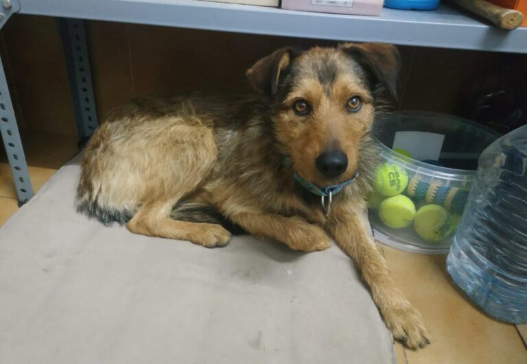 multimedia-foto71440-765-1