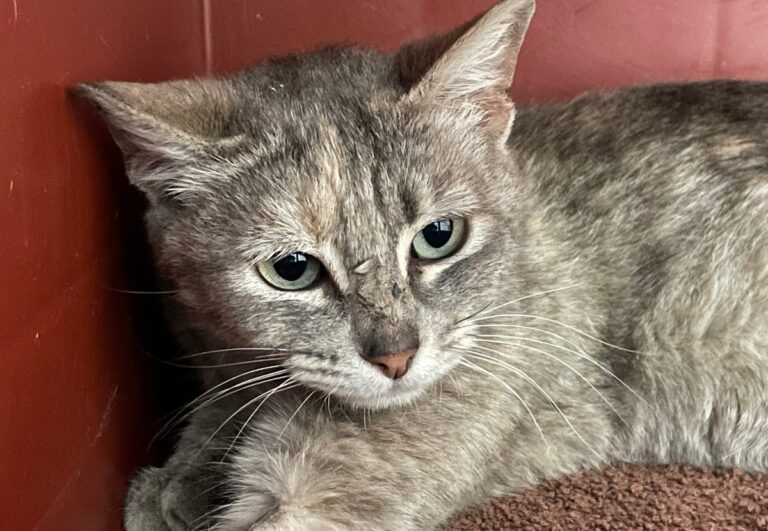 multimedia-foto71450-312-1