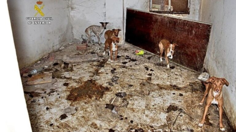 multimedia-foto71469-838-1