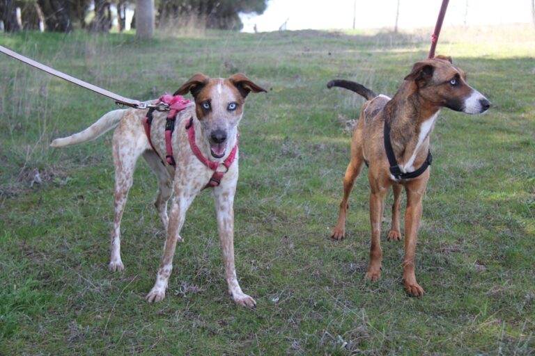 multimedia-foto71470-838-1