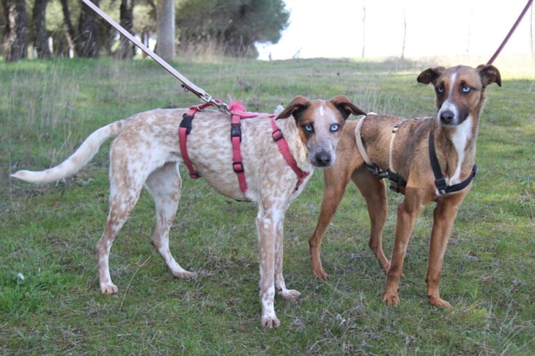 multimedia-foto71471-838-1