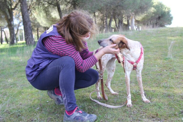 multimedia-foto71472-839-1