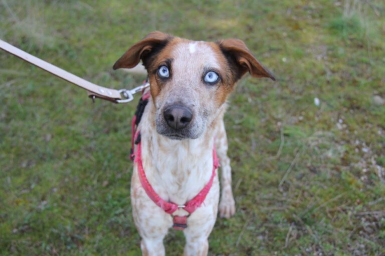 multimedia-foto71473-839-1