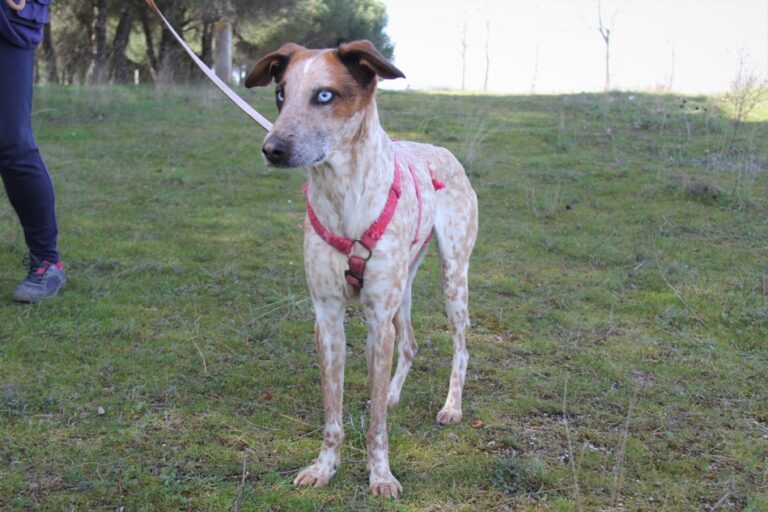 multimedia-foto71474-839-1