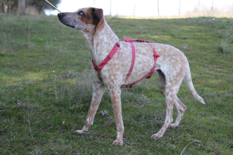 multimedia-foto71475-839-1