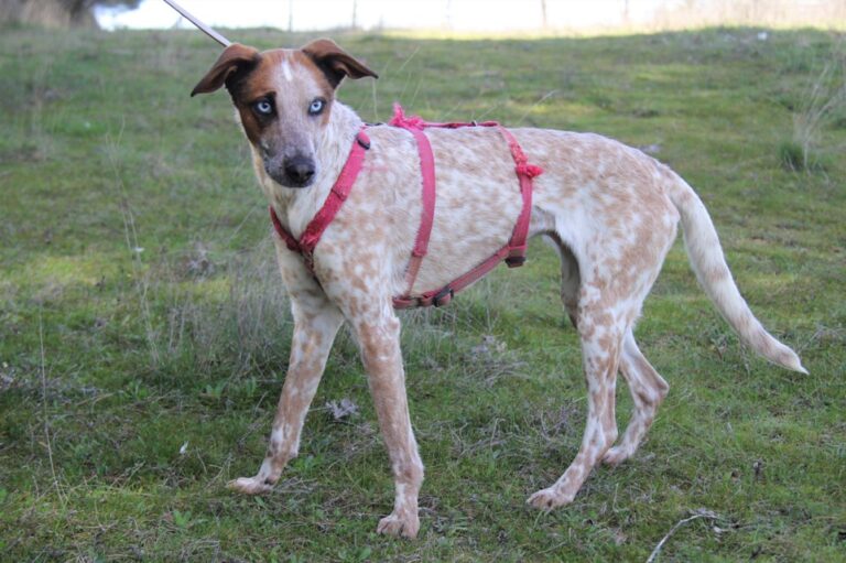 multimedia-foto71476-839-1