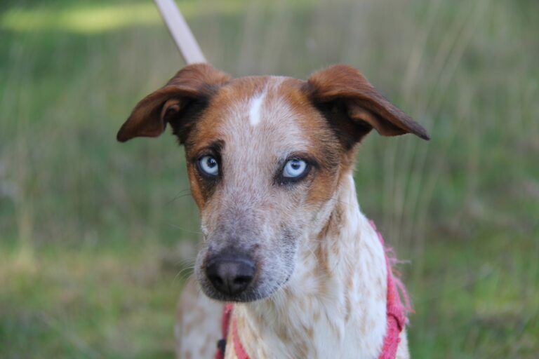 multimedia-foto71477-840-1