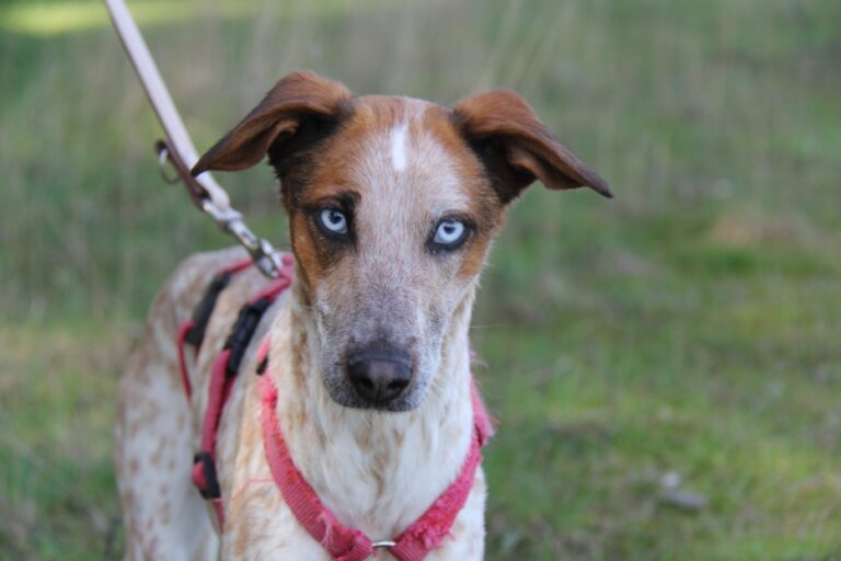 multimedia-foto71478-840-1