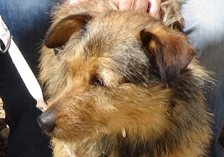 multimedia-foto71479-497-1