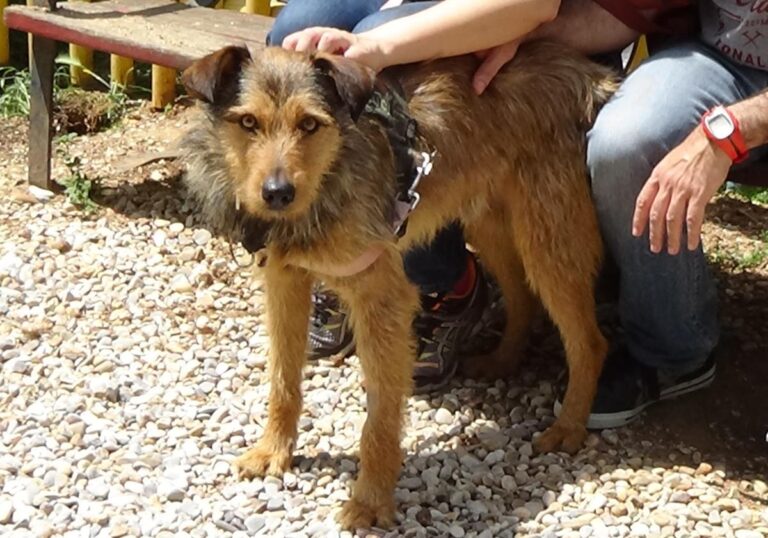 multimedia-foto71480-497-1