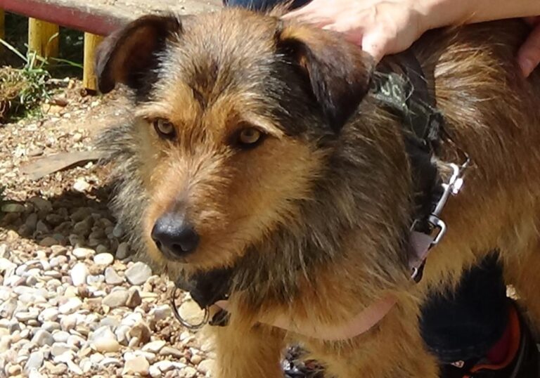 multimedia-foto71481-497-1