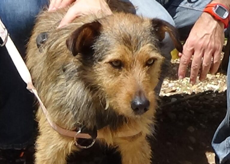 multimedia-foto71482-497-1