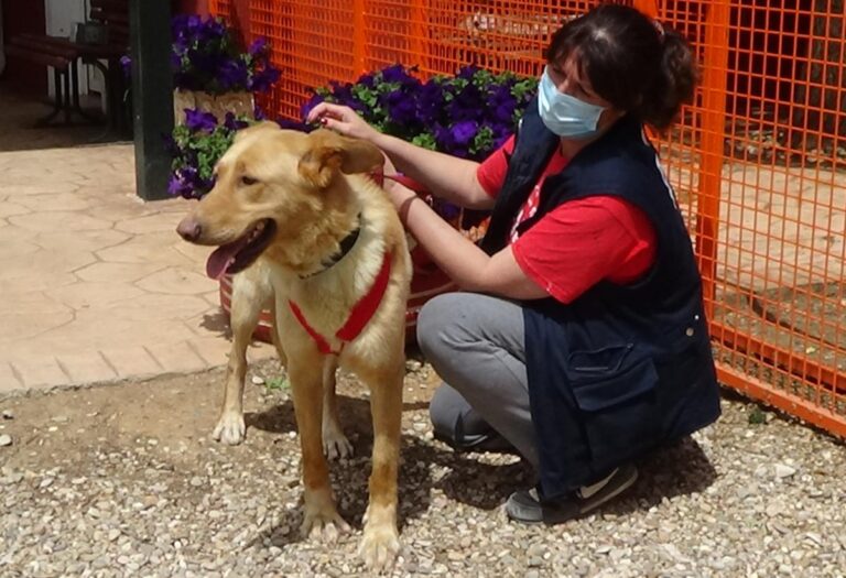 multimedia-foto71487-950-1