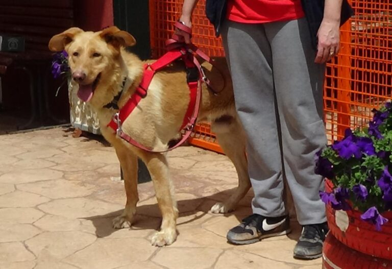 multimedia-foto71491-951-1