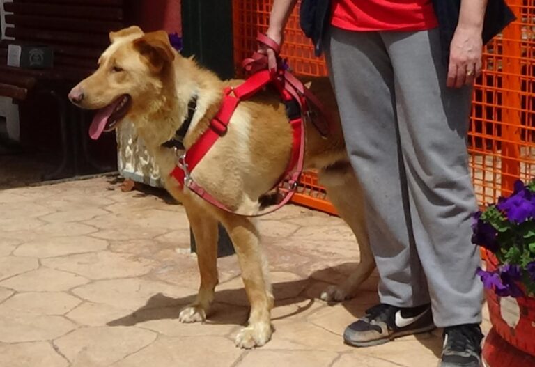 multimedia-foto71492-951-1