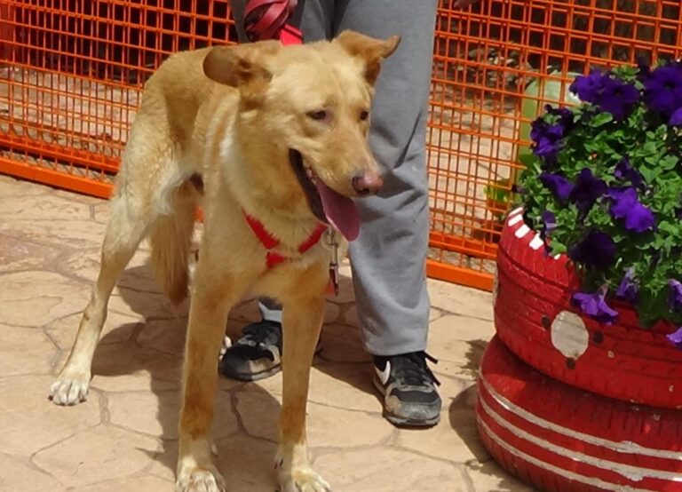 multimedia-foto71493-951-1