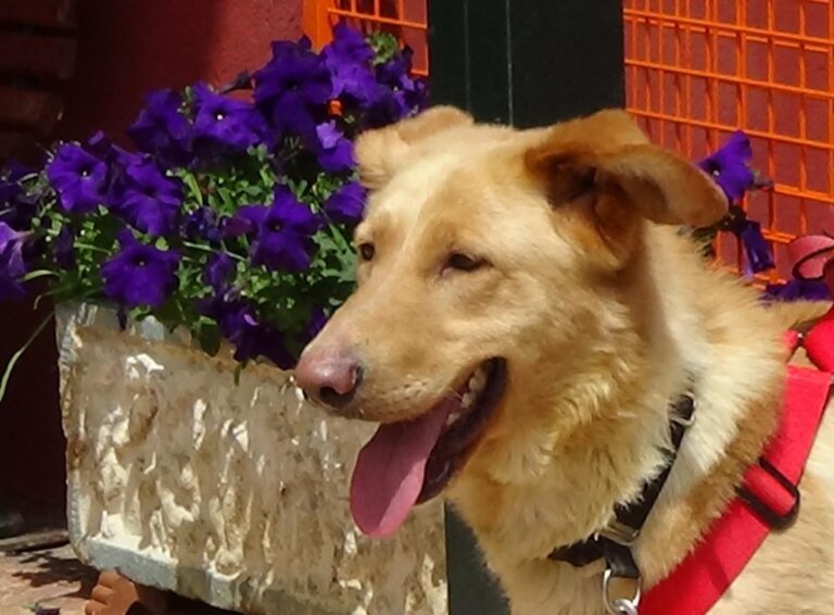 multimedia-foto71494-951-1