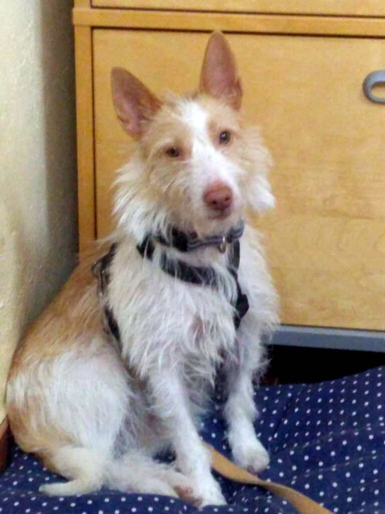 multimedia-foto71498-874-1