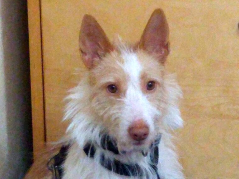 multimedia-foto71499-874-1