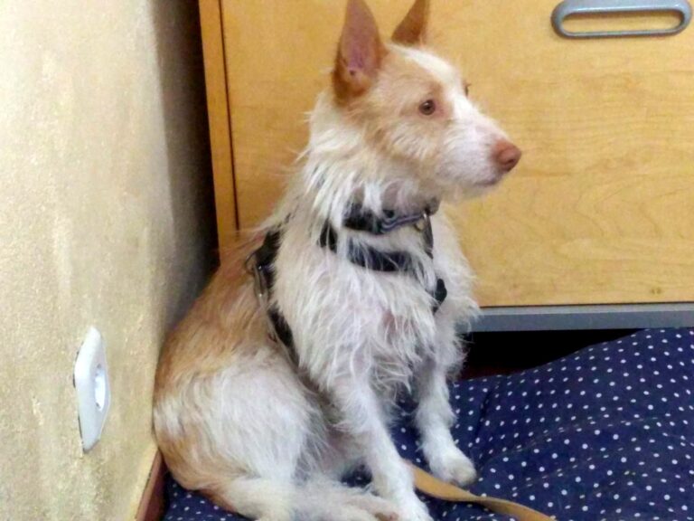 multimedia-foto71501-875-1