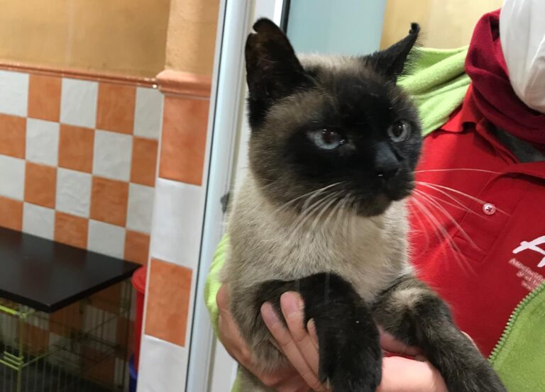 multimedia-foto71563-383-1