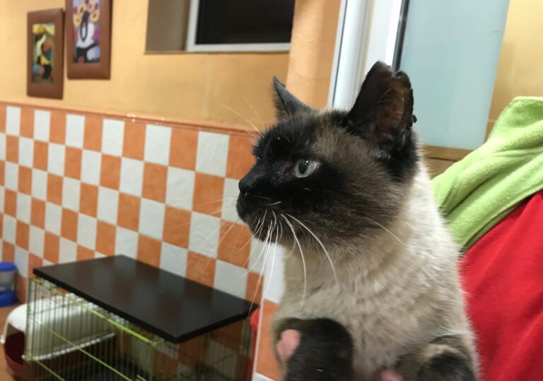 multimedia-foto71564-383-1