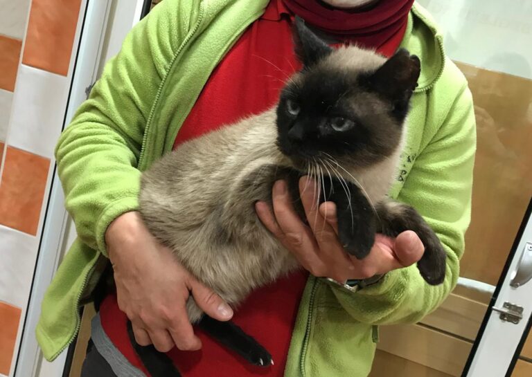 multimedia-foto71565-383-1