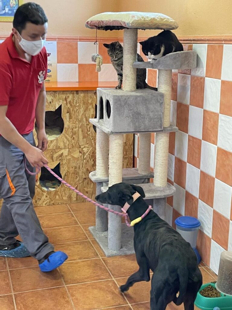 multimedia-foto71590-199-1