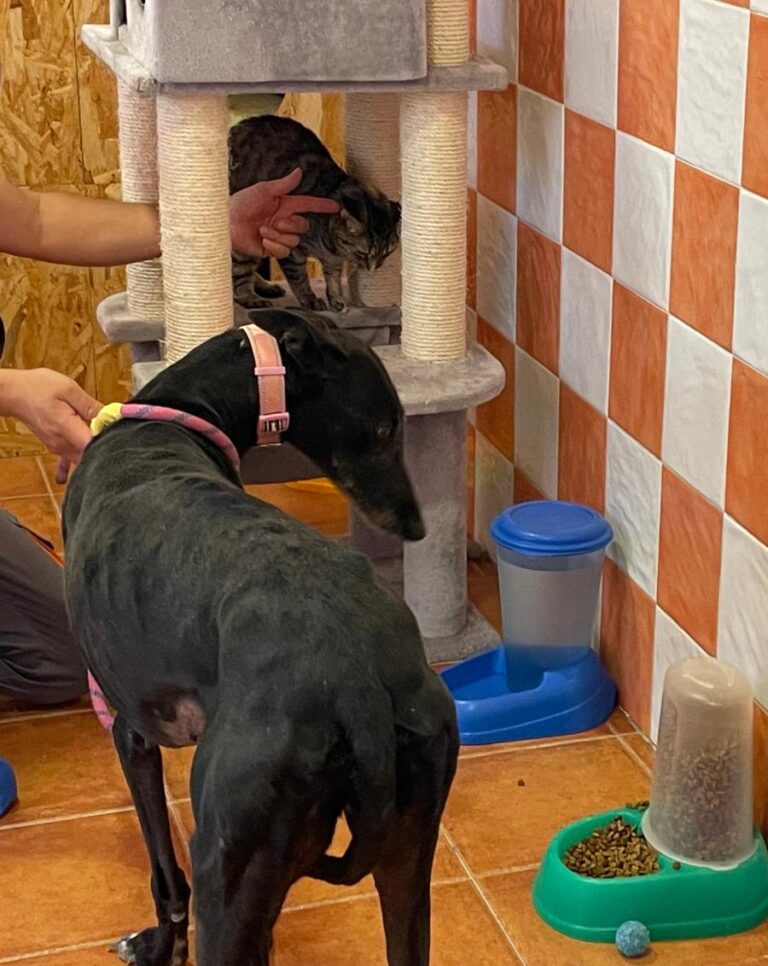 multimedia-foto71591-200-1