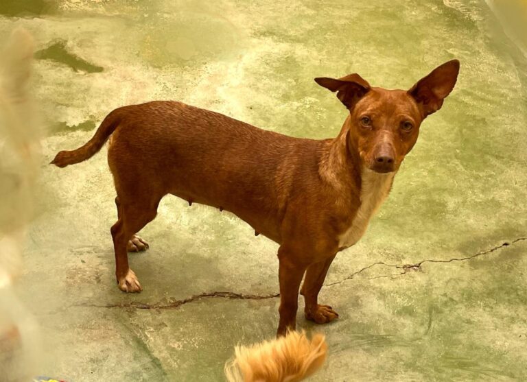 multimedia-foto71610-641-1