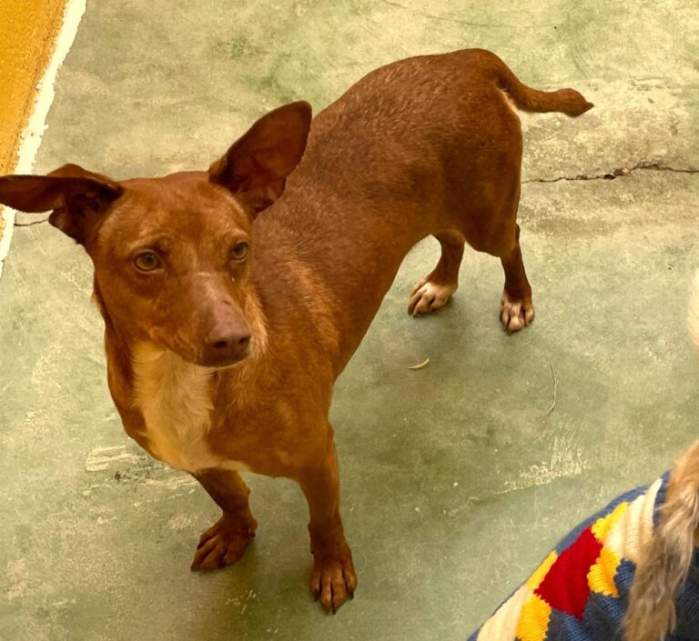 multimedia-foto71611-641-1