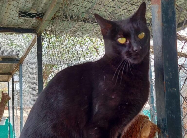 multimedia-foto71622-548-1