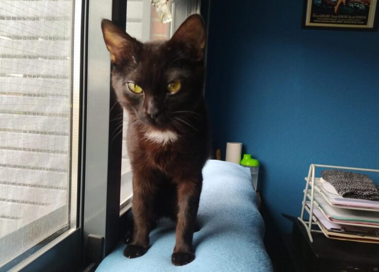 multimedia-foto71623-634-1