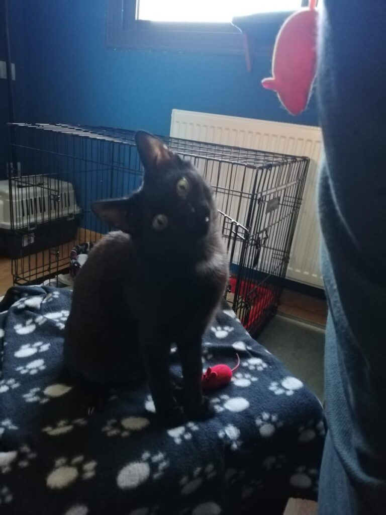 multimedia-foto71624-635-1