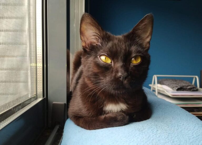 multimedia-foto71626-635-1