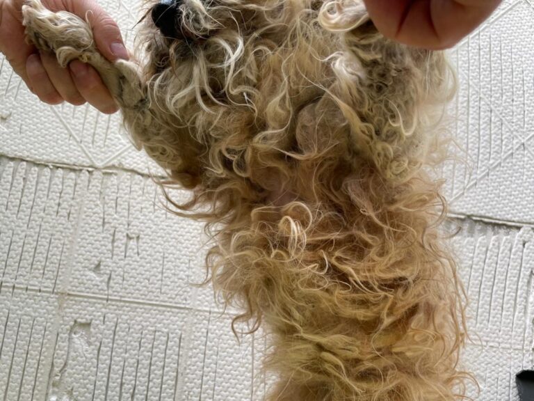 multimedia-foto71628-909-1