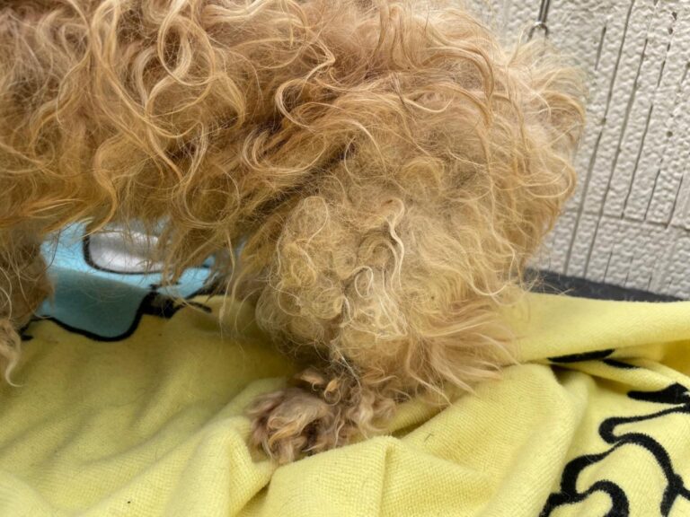 multimedia-foto71629-909-1