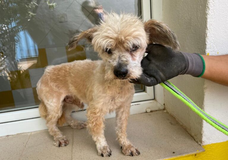 multimedia-foto71635-910-1